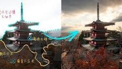 91麻豆免费在线观看-91麻豆，一段别样影视体验的探讨