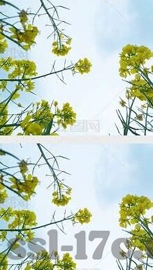 国产麻豆剧传媒免费果冻-探秘国产麻豆剧传媒的免费果冻世界