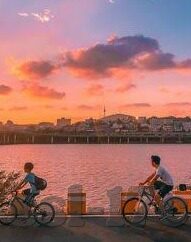 麻豆91视频-网络文化新探索，麻豆91视频的背后与时代审思