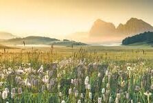 麻豆av中文在线看-麻豆AV——中文观影新体验的探索与思考