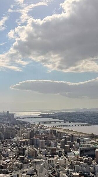 麻豆传媒软件怎么下载-深入指南，轻松下载麻豆传媒软件