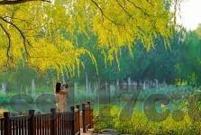 麻豆传媒sp-麻豆传媒SP的多元维度考察，艺术、伦理与社会影响