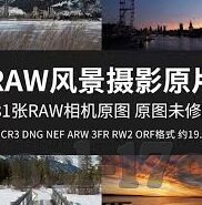 麻豆传媒网址-透视网络内容的多样性，以麻豆传媒网址为案例分析