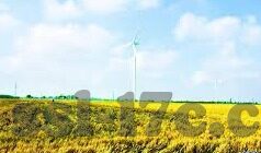 麻豆短视频官方苹果-麻豆短视频官方登录新体验，苹果设备上的创意享受
