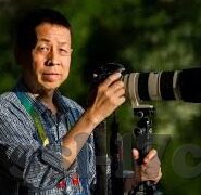 麻豆短视频观看-麻豆短视频，当代社交娱乐的新趋势与影响