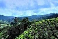 麻豆街头搭讪AV-在街头编织的创意偶遇，麻豆区独特的社交探索