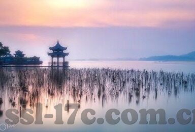 麻豆视频黄-探访网络世界中的真实与虚幻——以麻豆视频为例