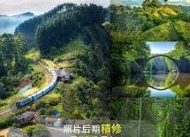 糖心app会员是真的吗-深入解析糖心app会员真实性的迷雾