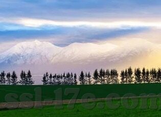 糖心app污-糖心app与网络世界的糖衣诱惑