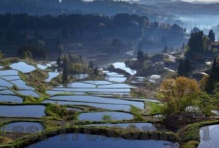 糖心直播app官网安全下载-直播新风尚，安全下载糖心直播应用的追求与体验