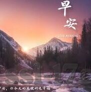 vlogcom糖心官网免费-解锁生活艺术，探索Vlogcom糖心官网的免费精彩