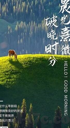 午夜福利波多野结衣人妻-午夜福利，波多野结衣的独特魅力