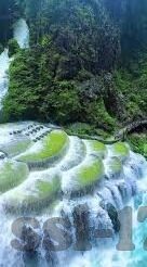 在线视频播放免费麻豆-唤醒自由视野，一窥在线视频播放与免费麻豆的奇趣共生
